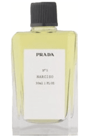 No5 Narciso by Prada Type - Fragrance Revival