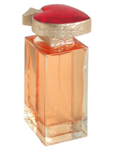 Vice Versa Perfume by Yves Saint Laurent Type - Fragrance Revival